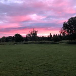 Meet your Posher, Sydney